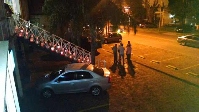 Springbok Bar - Gastronomía y hostelería