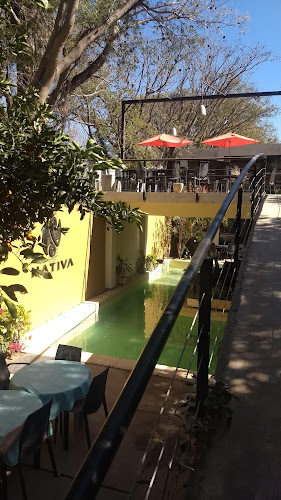 Comentarii opinii despre Casa Nativa