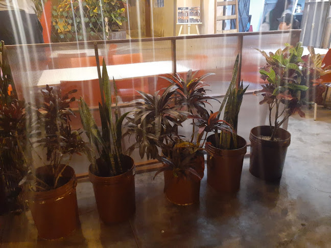 Restaurante La Fondita - Gastronomía y hostelería