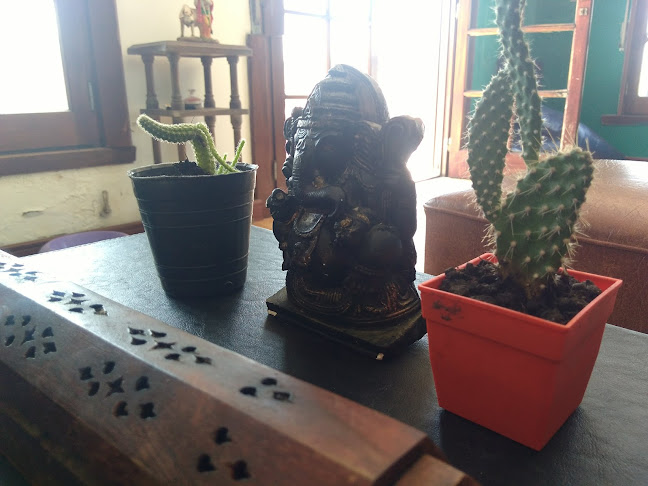 Comentarii opinii despre La Nonna Lucia