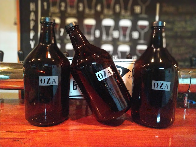 Ozamis Sur 2623, Mendoza