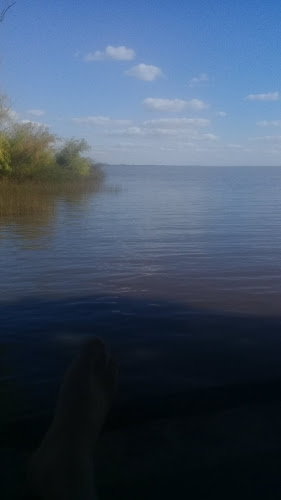 Comentarii opinii despre Pescaderia Carmen