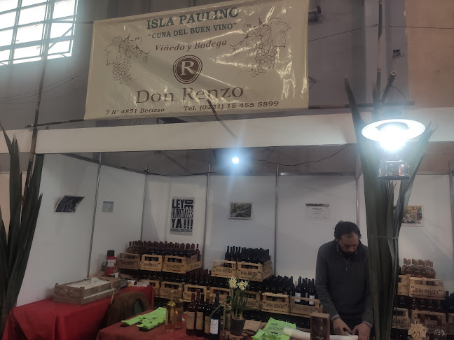 Comentarii opinii despre Fiesta del vino de la costa de Berisso