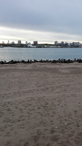 Georgia Resto Bar - Mar del Plata