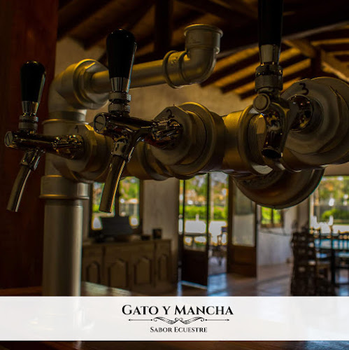 Comentarii opinii despre Gato y Mancha