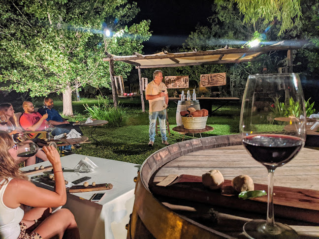 Aires Benegas - San Rafael