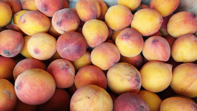 Int. Neyer 1870, B1642 Béccar, Provincia de Buenos Aires