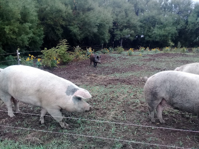 Villa Gral. Arias, Provincia de Buenos Aires