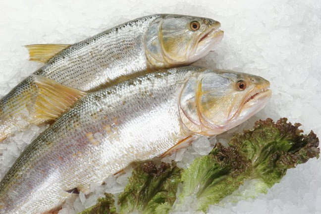 Comentarii opinii despre El Besugo Pescadería de Berardi S.A.