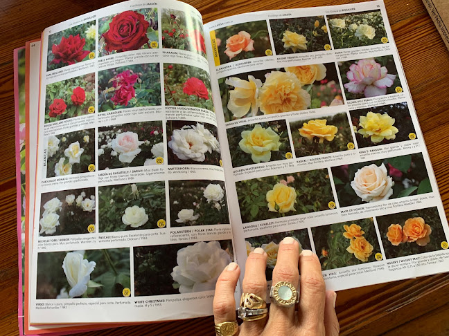 Flora- Vivero y Casa de Té - Concepción del Uruguay