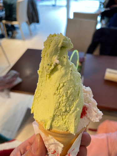 Augustus Heladería - Gastronomía y hostelería