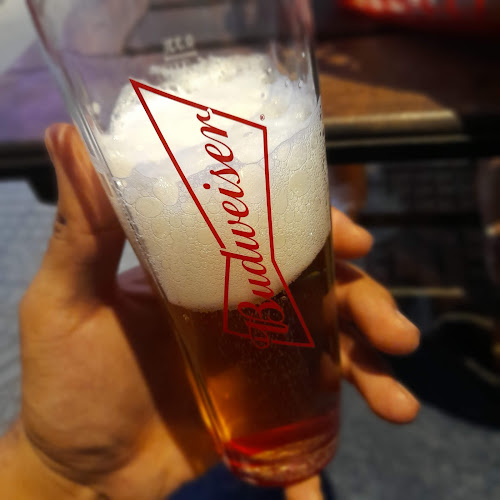 Mc Fly Neuquen - Neuquén