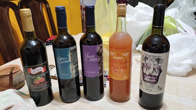 Fiesta del vino de la costa de Berisso - Berisso