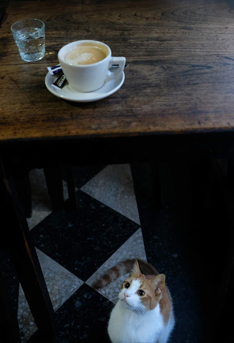 Opinii despre Café Tokio Norte în Santa Fe de la Vera Cruz - Gastronomía y hostelería