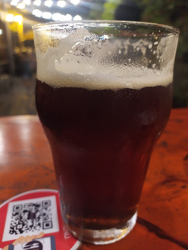 Comentarii opinii despre ShelterTigre