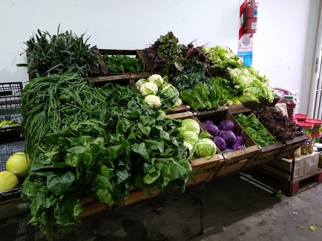 Opinii despre Central Tandil în Tandil - Gastronomía y hostelería