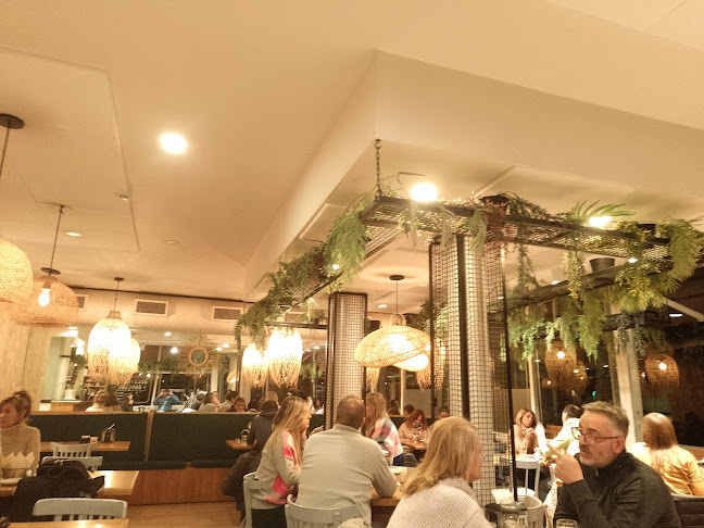 Comentarii opinii despre Coco Cafe Mdp