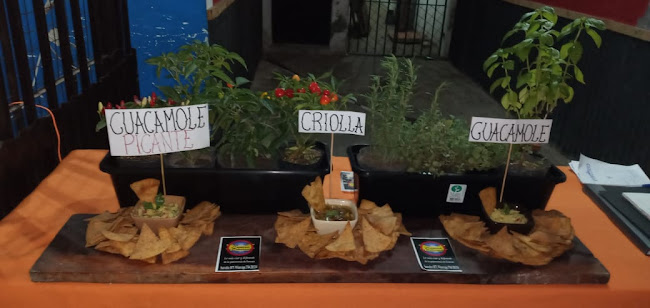 Comentarii opinii despre Cuatro cabezas resto-bar