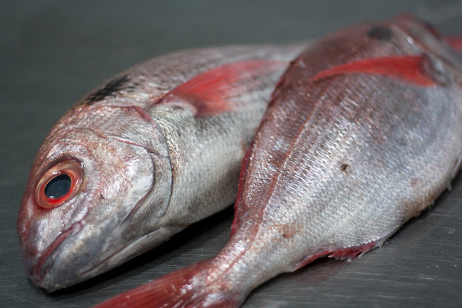 Comentarii opinii despre Pescaderías Shopping Del Mar