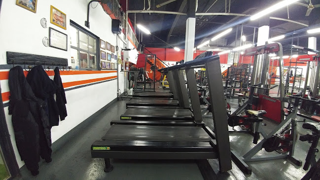 La parrilla del Nou Camp. - Gastronomía y hostelería