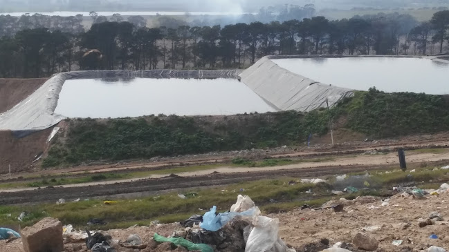 Mercado lo de Sandra + Papelera Adriel - Mar del Plata