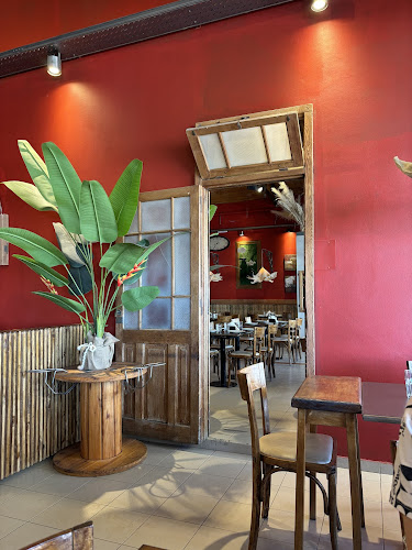 Comentarii opinii despre Chona