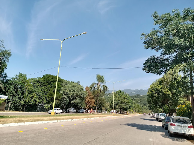 Comentarii opinii despre Parrilla Los Hermanos