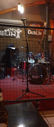 Comentarii opinii despre Dublín