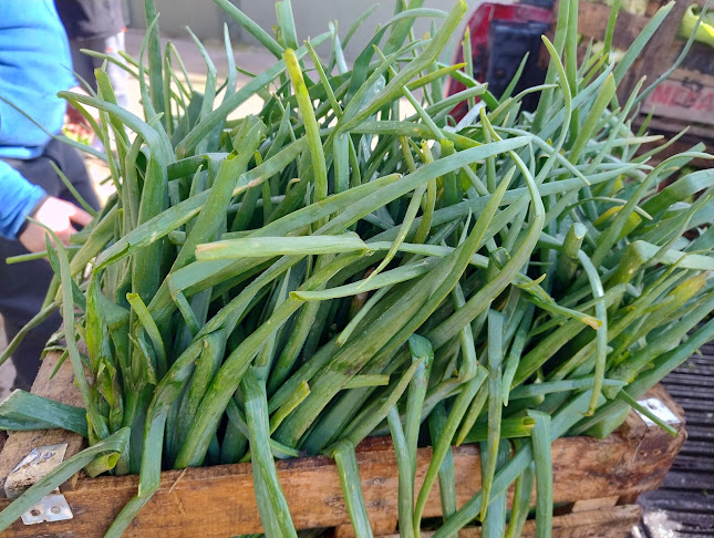 Comentarii opinii despre Central Tandil