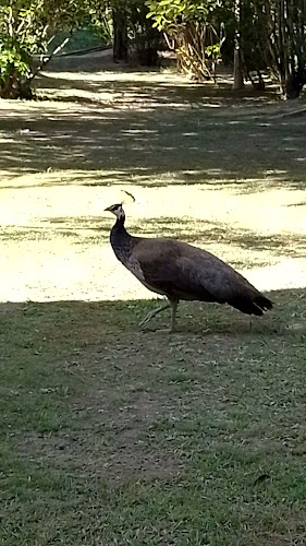 Restaurante Parrilla Fondeadero - Gastronomía y hostelería