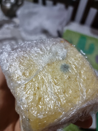 Delier - Gastronomía y hostelería