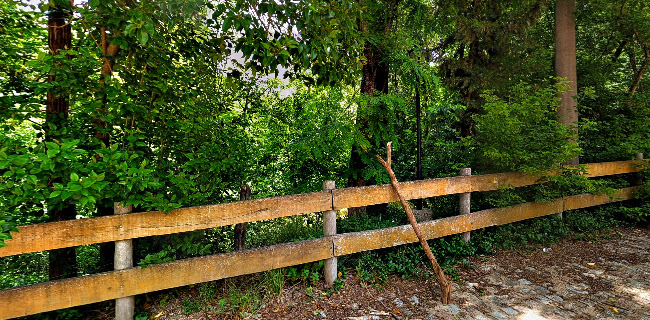 Opinii despre PULPERÍA DEL NEGRO • RESTAURANTE în San Luis - Gastronomía y hostelería