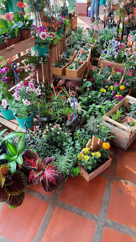 2899-3099, N3301EMA, Av. López y Planes, N3301ELM Posadas, Misiones