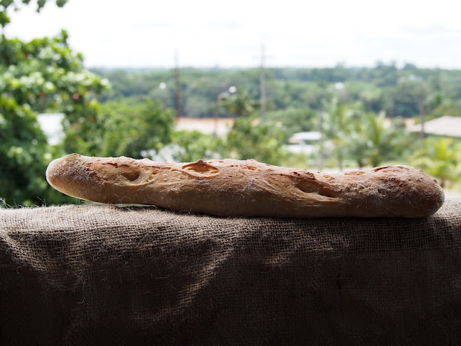 Comentarii opinii despre "La Semilla" - Cafetería - Pastelería - Restaurant
