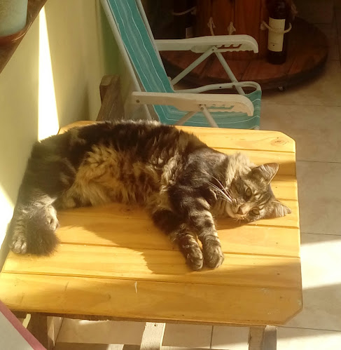 Opinii despre El Quincho Del Tata în Comodoro Rivadavia - Gastronomía y hostelería