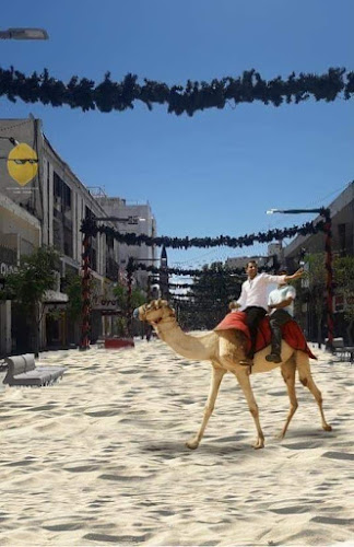 Mercado Granaderos - Carnicería Y Verdulería