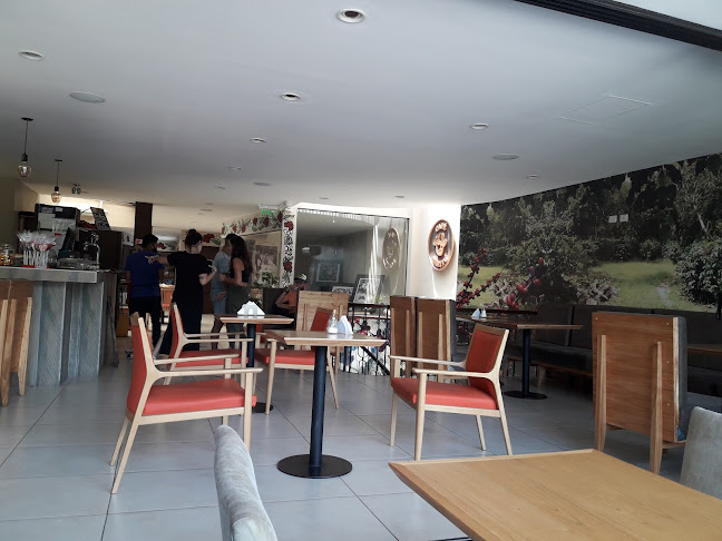 DXE San Salvador de Jujuy Jujuy AR, Canónigo Gorriti 291 Oficina 8, Y4600 San Salvador de Jujuy, Jujuy