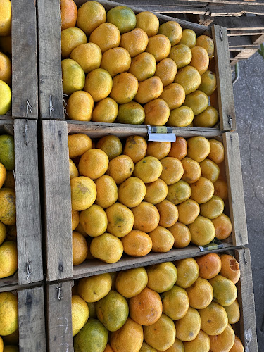 C. 1810 470, B8000 Bahía Blanca, Provincia de Buenos Aires