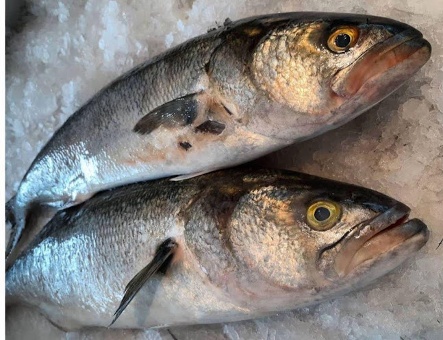 España 150, B1744 Moreno, Provincia de Buenos Aires