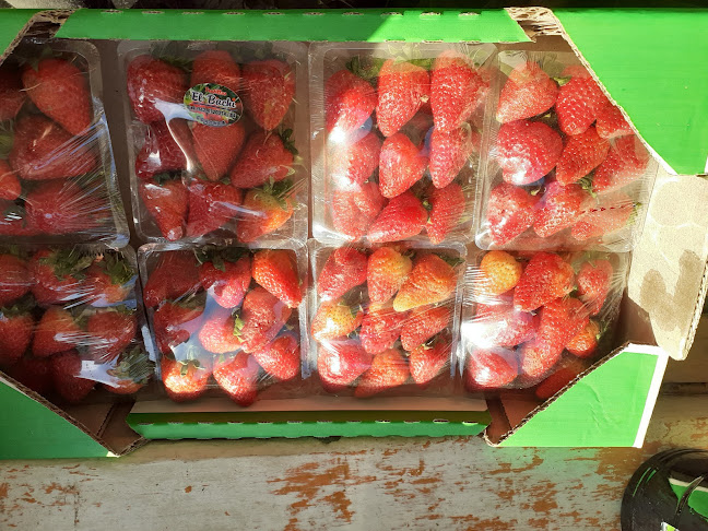 Laprida 5865, S2000 Rosario, Santa Fe