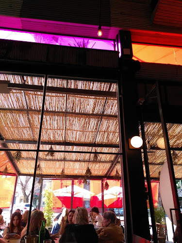 Paladar Negro Original