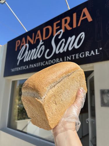 Punto Sano - Gastronomía y hostelería