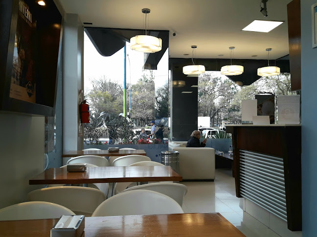 Blue Bell - Mate de Luna - Gastronomía y hostelería