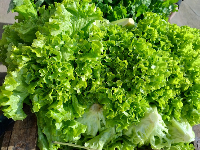 Central Tandil - Tandil