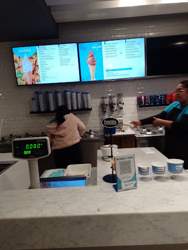 Freddo Santiago del Estero - Gastronomía y hostelería