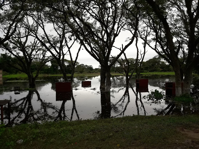 Comentarii opinii despre LA HERRADURA POINT BEACH