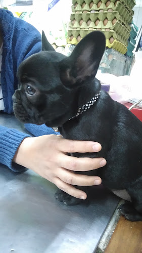 Opinii despre Proveeduria el Señor de la Quebrada în San Luis - Gastronomía y hostelería