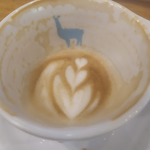 Comentarii opinii despre Llama Coffee Roasters