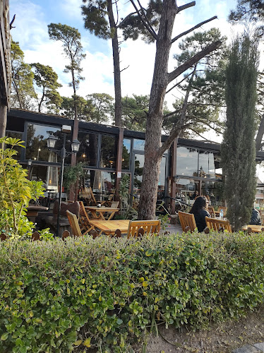 Los Pinos Café Bar - Necochea