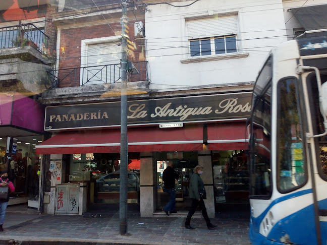 La Antigua Rosa - Olivos